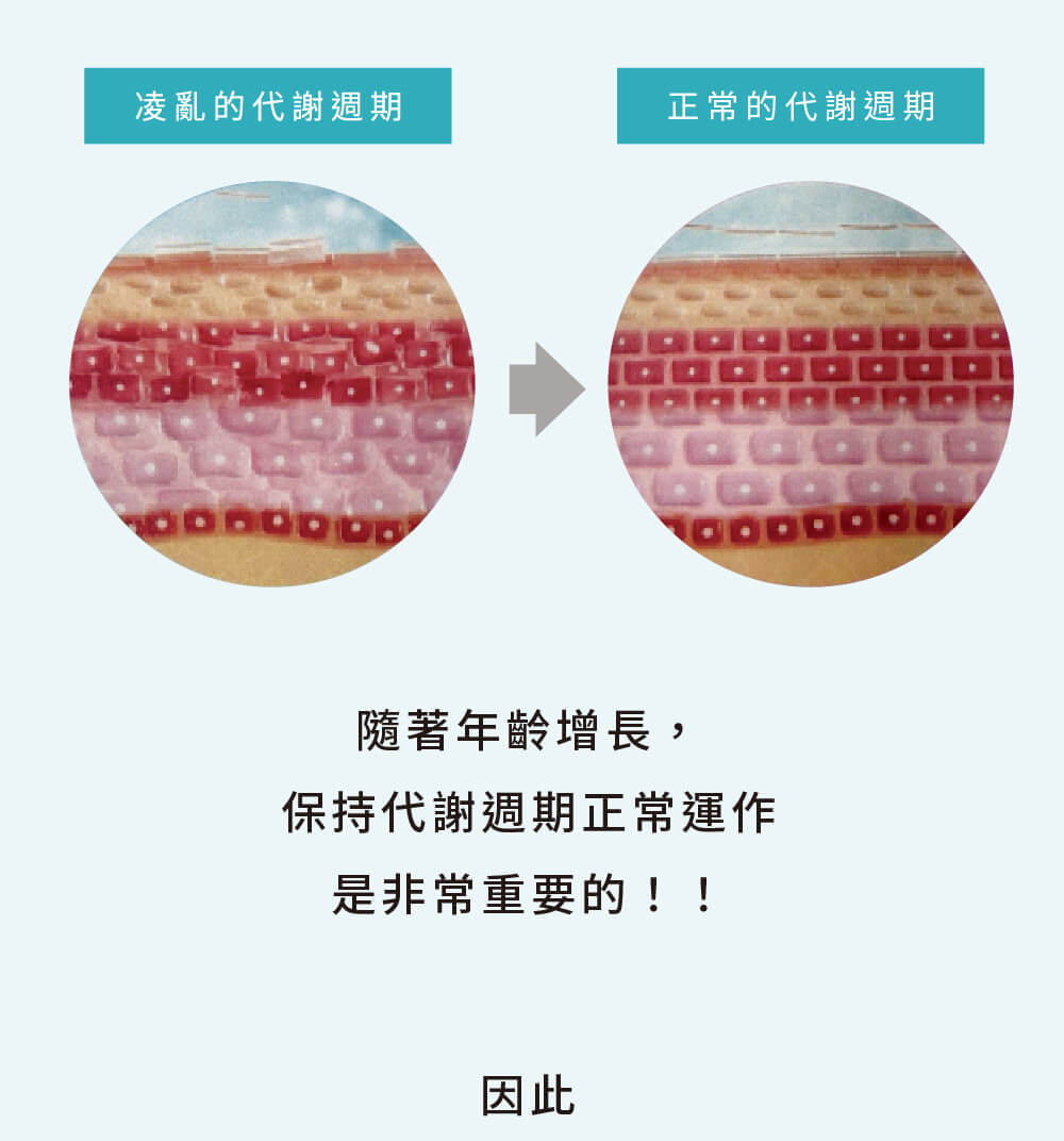肌膚代謝週期概念說明，正常的代謝是維持年輕膚質、改善皺紋與暗沉的關鍵。