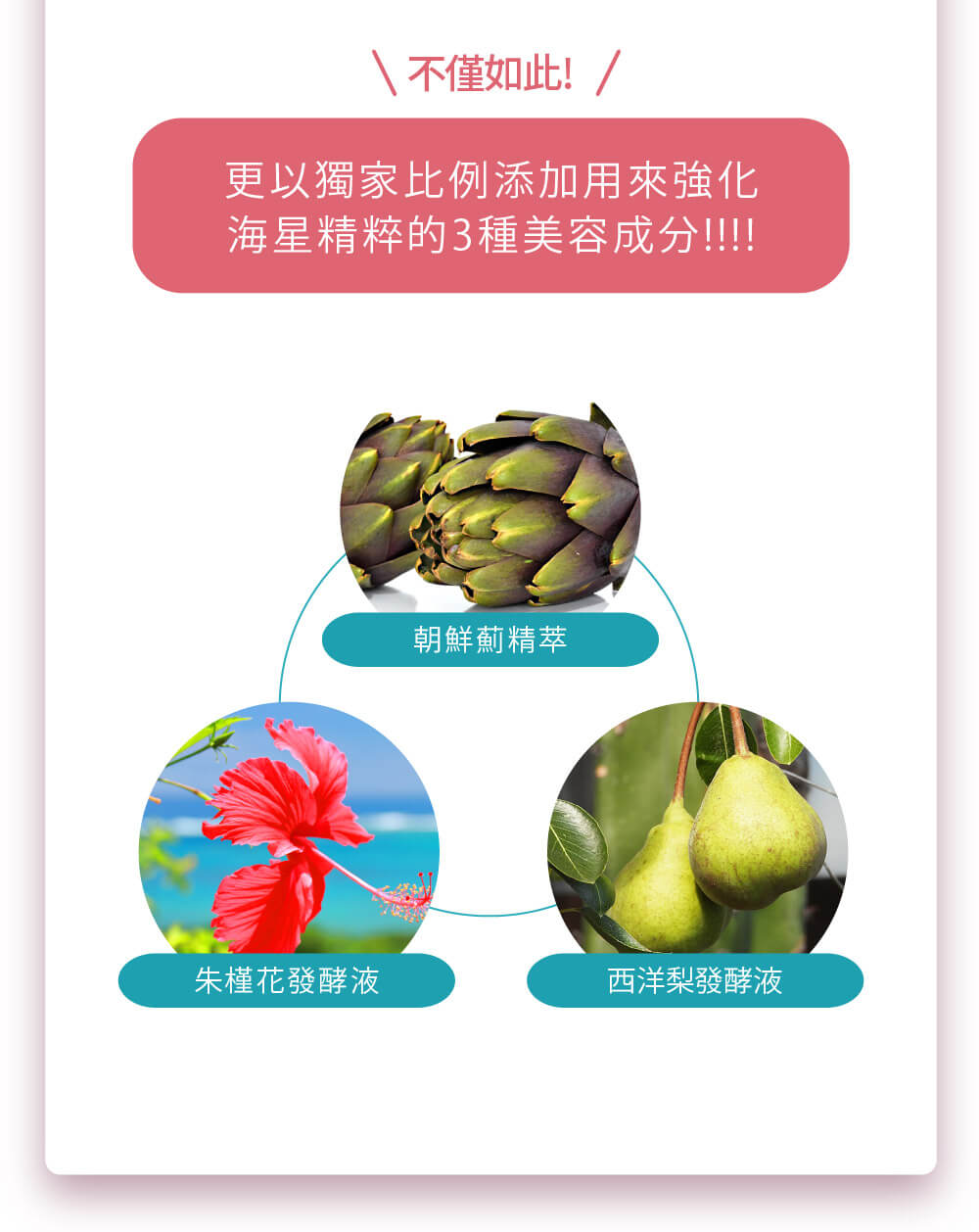 海星凝膠添加朝鮮薊精萃、朱槿花與西洋梨發酵液等三重美容成分，加強保養效果。