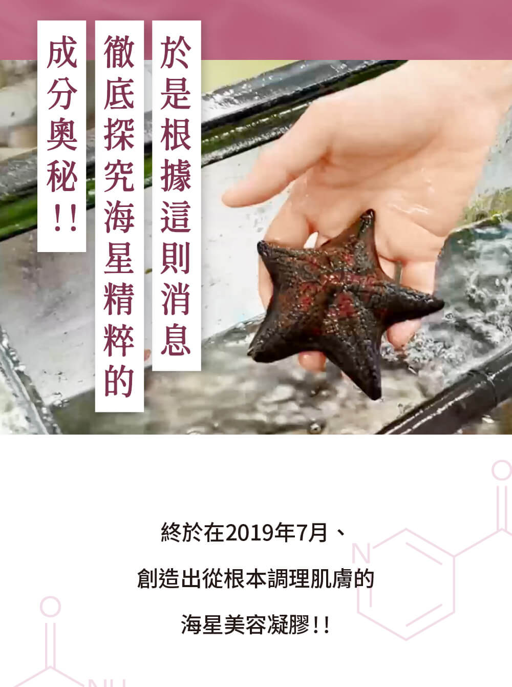 探究海星精粹的成分奧秘，九州美力堂於2019年成功研發出海星美容凝膠。